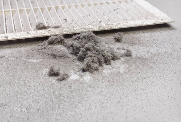 Best Dryer Vent Cleaning Services  in Natchez, MS