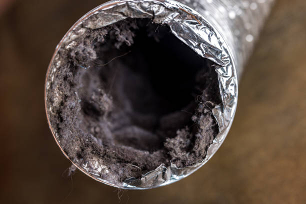 Best Air Duct Cleaning Near Me  in Natchez, MS